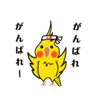 オカメインコのおーちゃん（個別スタンプ：10）