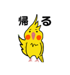 オカメインコのおーちゃん（個別スタンプ：12）
