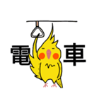 オカメインコのおーちゃん（個別スタンプ：13）