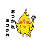 オカメインコのおーちゃん（個別スタンプ：14）