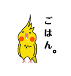オカメインコのおーちゃん（個別スタンプ：16）
