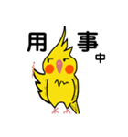 オカメインコのおーちゃん（個別スタンプ：18）