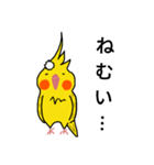 オカメインコのおーちゃん（個別スタンプ：20）