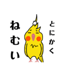 オカメインコのおーちゃん（個別スタンプ：21）