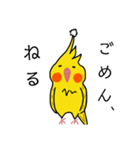 オカメインコのおーちゃん（個別スタンプ：22）