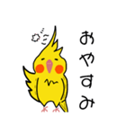 オカメインコのおーちゃん（個別スタンプ：23）