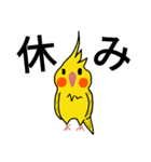 オカメインコのおーちゃん（個別スタンプ：24）