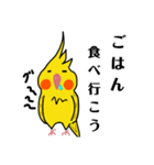 オカメインコのおーちゃん（個別スタンプ：31）