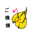 オカメインコのおーちゃん（個別スタンプ：33）