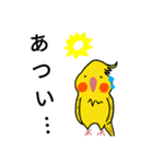 オカメインコのおーちゃん（個別スタンプ：34）