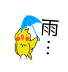 オカメインコのおーちゃん（個別スタンプ：36）