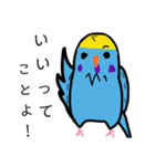 オカメインコのおーちゃん（個別スタンプ：39）