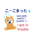 日本語+英語のプードルスタンプ（個別スタンプ：33）