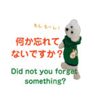 日本語+英語のプードルスタンプ（個別スタンプ：34）