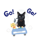猫づくし2（個別スタンプ：5）