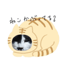猫づくし2（個別スタンプ：8）