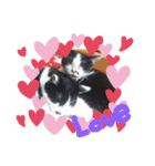 猫づくし2（個別スタンプ：9）
