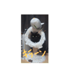 猫づくし2（個別スタンプ：10）