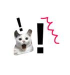 こじろーくんと一緒。（個別スタンプ：2）
