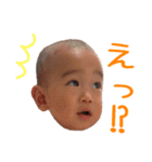 井上家_sticker（個別スタンプ：13）