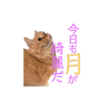 愛すべき茶々丸（個別スタンプ：10）