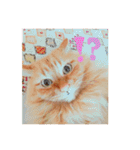 愛すべき茶々丸（個別スタンプ：14）