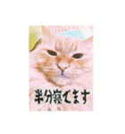 愛すべき茶々丸（個別スタンプ：15）