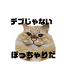 愛すべき茶々丸（個別スタンプ：18）
