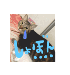 リオの気持ち2（個別スタンプ：3）