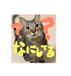 リオの気持ち2（個別スタンプ：5）
