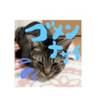 リオの気持ち2（個別スタンプ：6）