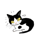 やんちゃくれネコ（個別スタンプ：5）