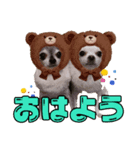 歴代ワンコたち（個別スタンプ：2）