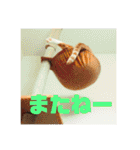 マイ猫ズ（個別スタンプ：13）