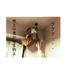 マイ猫ズ（個別スタンプ：31）