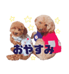 ちゃた＆びびの日常スタンプ（個別スタンプ：4）