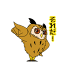 ミミズクのミミ助（個別スタンプ：5）