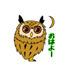 ミミズクのミミ助（個別スタンプ：6）