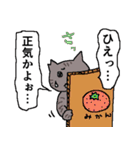 あなたのネコ ～愛だけを伝えたい～（個別スタンプ：12）