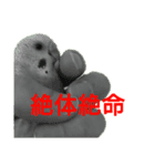 いんこのいる生活（個別スタンプ：8）