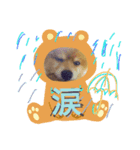 犬の兄弟（個別スタンプ：6）