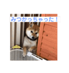 柴犬 北登 スタンプ2018（個別スタンプ：9）
