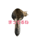 べにこ喜怒哀楽（個別スタンプ：10）