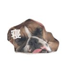 小野塚BOBの使えるヤツ（個別スタンプ：2）