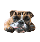 小野塚BOBの使えるヤツ（個別スタンプ：4）