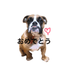 小野塚BOBの使えるヤツ（個別スタンプ：10）