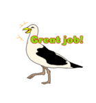 鳥、野鳥スタンプ（個別スタンプ：2）