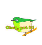 鳥、野鳥スタンプ（個別スタンプ：8）