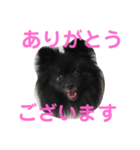 くうちゃん今日もかわいいスタンプ（個別スタンプ：2）