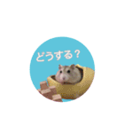 もんちゃんスタスタ（個別スタンプ：1）